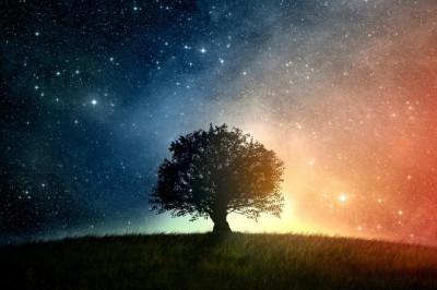 10 Cosmic Wonders: Trees vs. Stars and Other Surprising Facts That Will Change How You See the Universe!